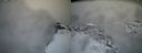 ./images/calvert/buxton2/20160314/buxton220160314_190012M.jpg