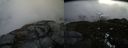 ./images/calvert/buxton2/20160322/buxton220160322_103954M.jpg