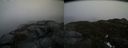 ./images/calvert/buxton2/20160323/buxton220160323_135123M.jpg