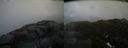 ./images/calvert/buxton2/20160323/buxton220160323_173127M.jpg