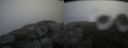 ./images/calvert/buxton2/20160401/buxton220160401_103009M.jpg