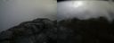 ./images/calvert/buxton2/20160406/buxton220160406_110005M.jpg