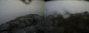 ./images/calvert/buxton2/20160406/buxton220160406_171006M.jpg