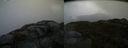 ./images/calvert/buxton2/20160423/buxton220160423_154530M.jpg