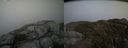 ./images/calvert/buxton2/20160427/buxton220160427_182005M.jpg