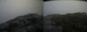 ./images/calvert/buxton2/20160503/buxton220160503_164004M.jpg