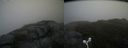 ./images/calvert/buxton2/20160515/buxton220160515_174007M.jpg