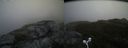 ./images/calvert/buxton2/20160515/buxton220160515_193003M.jpg