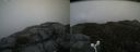 ./images/calvert/buxton2/20160516/buxton220160516_114503M.jpg