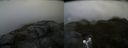 ./images/calvert/buxton2/20160517/buxton220160517_181507M.jpg