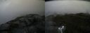 ./images/calvert/buxton2/20160517/buxton220160517_193008M.jpg