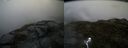 ./images/calvert/buxton2/20160518/buxton220160518_082549M.jpg
