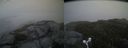 ./images/calvert/buxton2/20160522/buxton220160522_061510M.jpg