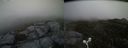 ./images/calvert/buxton2/20160522/buxton220160522_202527M.jpg