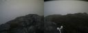 ./images/calvert/buxton2/20160523/buxton220160523_070001M.jpg