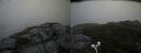 ./images/calvert/buxton2/20160524/buxton220160524_081503M.jpg