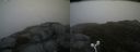 ./images/calvert/buxton2/20160524/buxton220160524_091512M.jpg