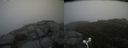 ./images/calvert/buxton2/20160524/buxton220160524_093503M.jpg