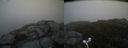 ./images/calvert/buxton2/20160524/buxton220160524_101019M.jpg