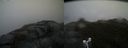 ./images/calvert/buxton2/20160527/buxton220160527_183534M.jpg