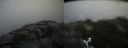 ./images/calvert/buxton2/20160527/buxton220160527_184536M.jpg