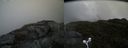./images/calvert/buxton2/20160528/buxton220160528_120502M.jpg