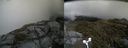 ./images/calvert/buxton2/20160528/buxton220160528_130003M.jpg