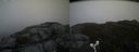 ./images/calvert/buxton2/20160528/buxton220160528_131004M.jpg