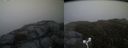 ./images/calvert/buxton2/20160528/buxton220160528_212007M.jpg
