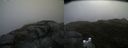 ./images/calvert/buxton2/20160601/buxton220160601_094511M.jpg