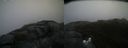 ./images/calvert/buxton2/20160601/buxton220160601_095550M.jpg