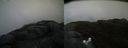 ./images/calvert/buxton2/20160601/buxton220160601_100525M.jpg