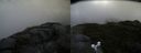 ./images/calvert/buxton2/20160601/buxton220160601_101542M.jpg