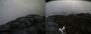 ./images/calvert/buxton2/20160601/buxton220160601_102002M.jpg