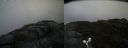 ./images/calvert/buxton2/20160601/buxton220160601_102522M.jpg