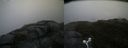 ./images/calvert/buxton2/20160601/buxton220160601_103556M.jpg