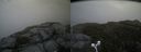 ./images/calvert/buxton2/20160601/buxton220160601_151015M.jpg