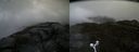 ./images/calvert/buxton2/20160601/buxton220160601_200514M.jpg