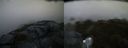 ./images/calvert/buxton2/20160602/buxton220160602_060509M.jpg