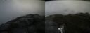 ./images/calvert/buxton2/20160602/buxton220160602_084004M.jpg