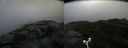 ./images/calvert/buxton2/20160602/buxton220160602_091011M.jpg