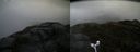 ./images/calvert/buxton2/20160602/buxton220160602_093501M.jpg
