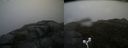 ./images/calvert/buxton2/20160602/buxton220160602_105506M.jpg