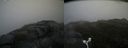 ./images/calvert/buxton2/20160602/buxton220160602_112508M.jpg