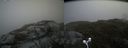 ./images/calvert/buxton2/20160602/buxton220160602_143513M.jpg