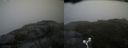 ./images/calvert/buxton2/20160602/buxton220160602_145007M.jpg