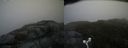 ./images/calvert/buxton2/20160602/buxton220160602_145504M.jpg