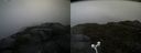 ./images/calvert/buxton2/20160603/buxton220160603_101001M.jpg