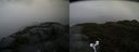./images/calvert/buxton2/20160603/buxton220160603_105001M.jpg
