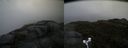 ./images/calvert/buxton2/20160603/buxton220160603_113513M.jpg